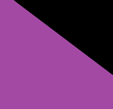 10 Violet/Noir