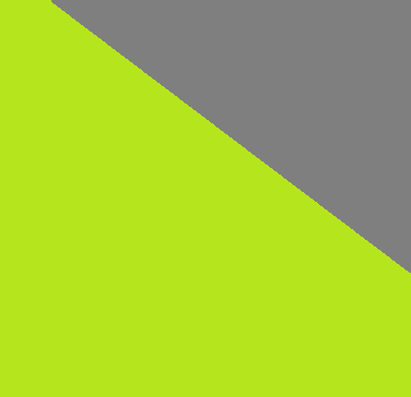 23 Lime/Gris